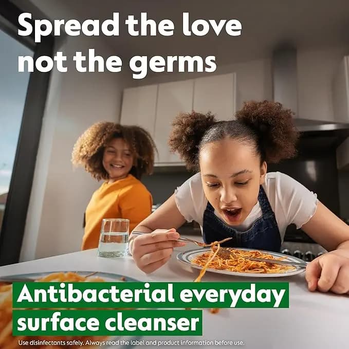 پاک کننده سطوح آنتی باکتریال دتول یک لیتر | Dettol Anti-bacterial Surface Cleanser Mega 1 L — تصویر ۳