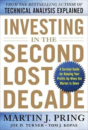 و دانلود نسخه کامل کتاب زبان اصلی Investing in the Second Lost Decade: A Survival Guide for Keeping Your Profits Up When the Market Is Down PDF | دانلود کتاب خارجی