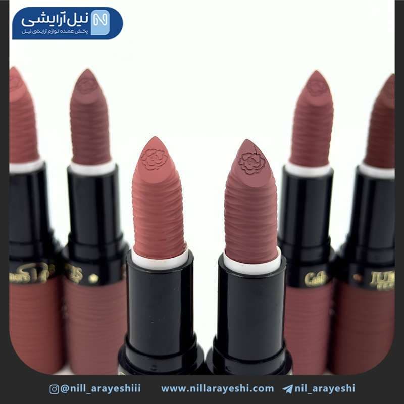 رژ لب جامد ژولیوس بیوتی پوکه تنه درختی کد Jl7207 — تصویر ۴