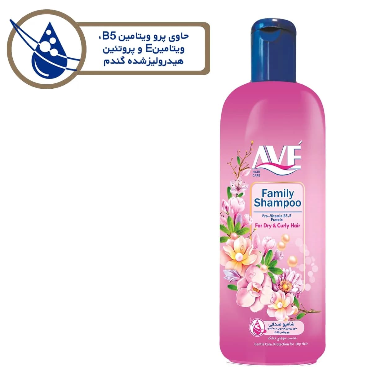 شامپو مو اوه مدل Dry And Curly حجم 1000 میلی لیتر