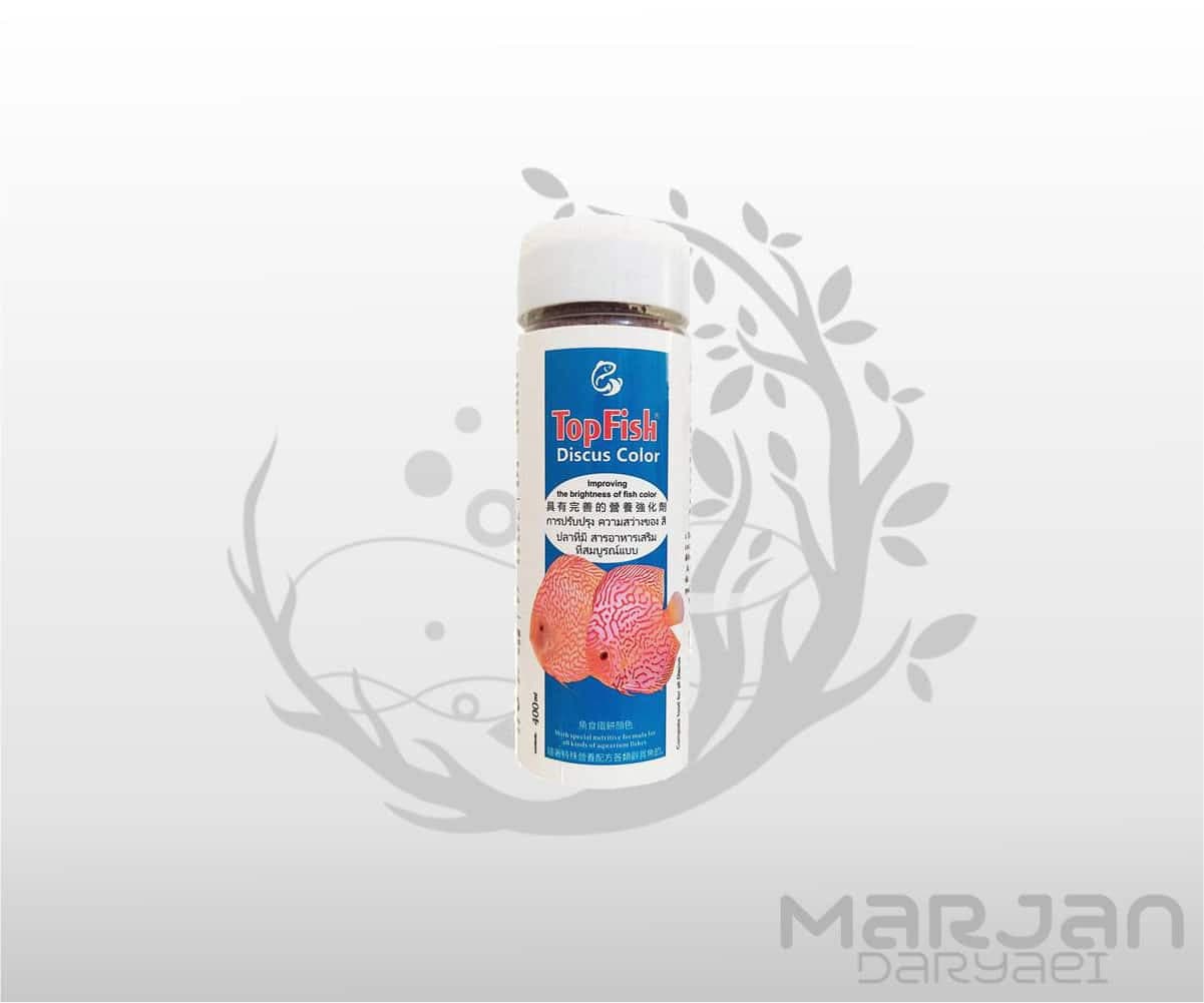 غذا ماهی بیتس دیسکس کالر تاپ فیش
