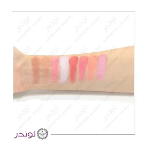 پالت رژگونه 8 رنگ رولوشن مدل شوگر اند اسپایس Sugar & Spice — تصویر ۳