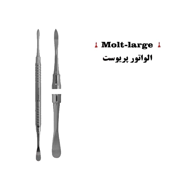 پریوست هالو کاریزما ( ۳سایز )