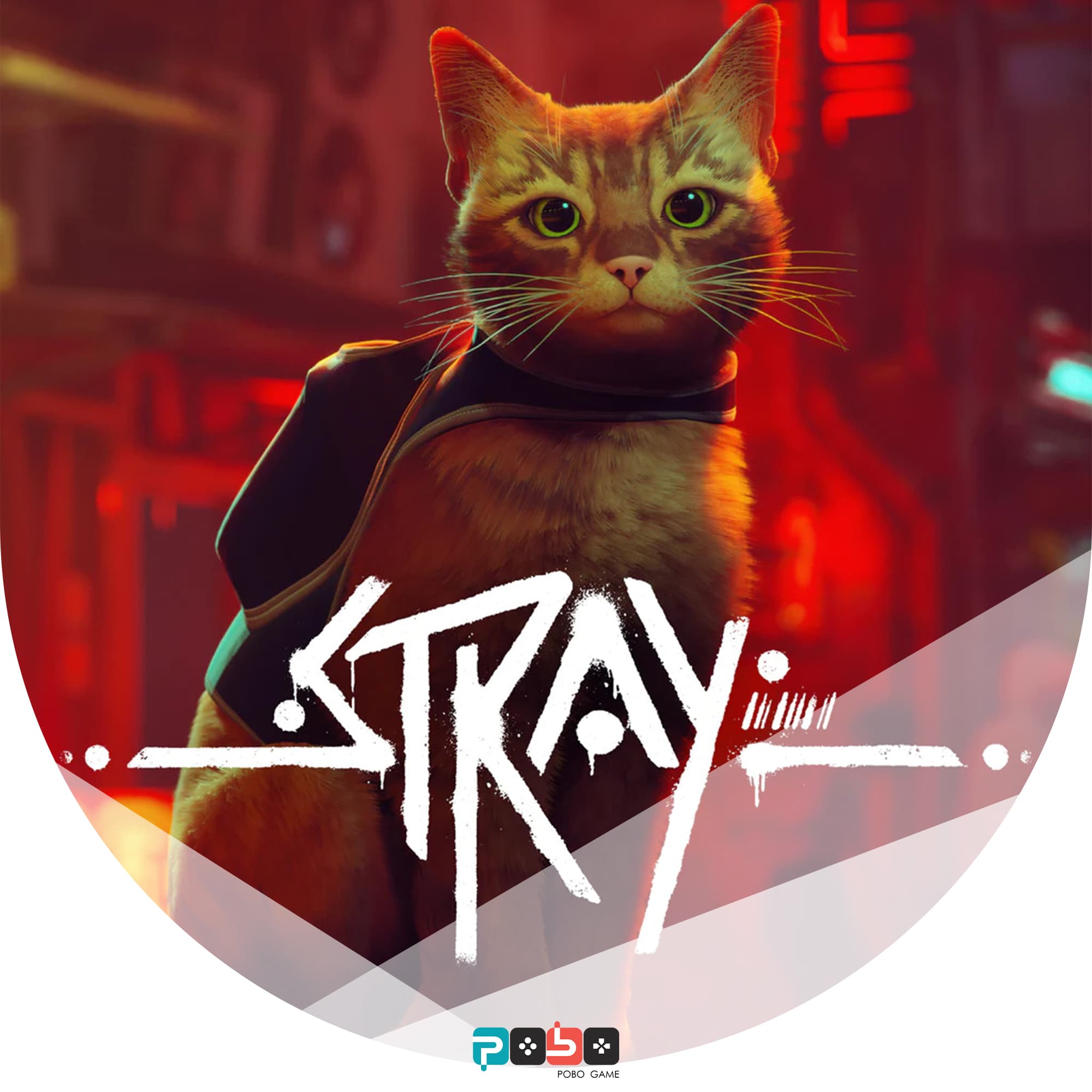 اکانت قانونی بازی Stray (استری)