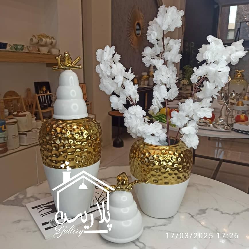 جینجرجار ژورنالی وارداتی ۱۸۱۱۶