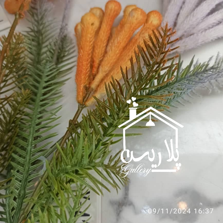 شاخه کریسمس ۱۶۱۶۳ — تصویر ۲