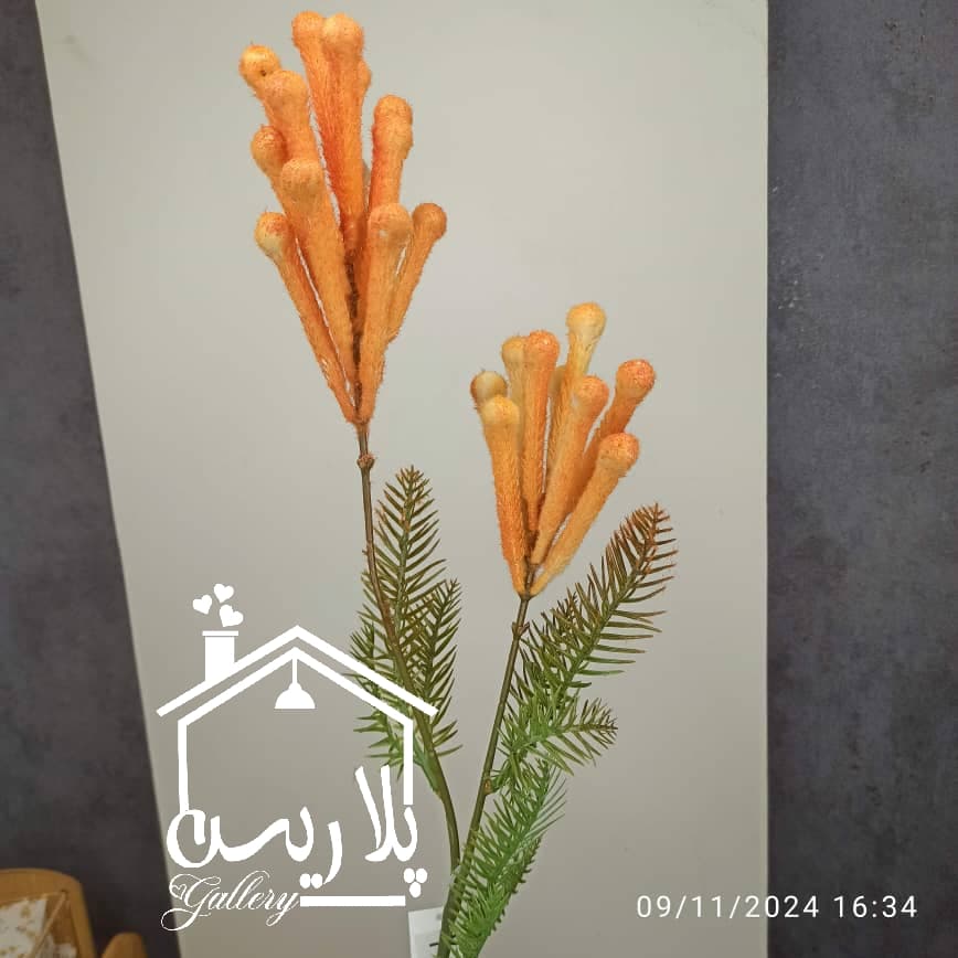 شاخه کریسمس ۱۶۱۶۳ — تصویر ۳