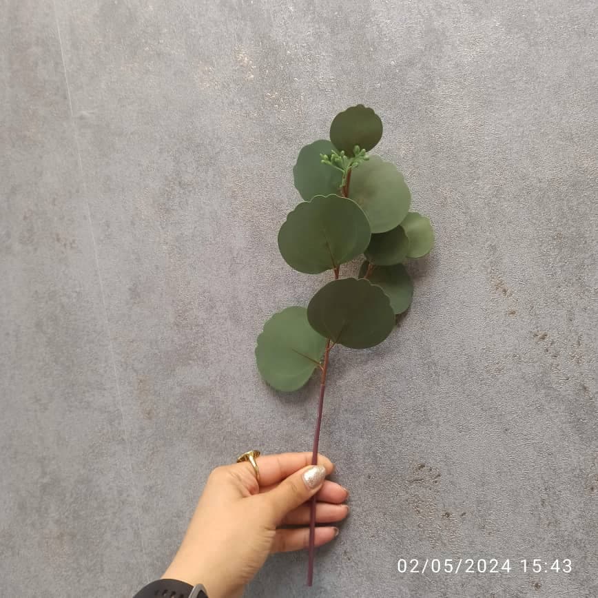 برگ چرمی سبز ۱۶۱۰۷_۱۶۱۰۸ — تصویر ۲