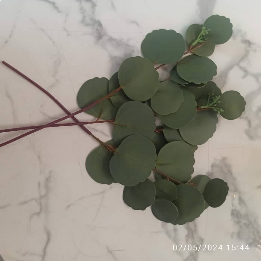 برگ چرمی سبز ۱۶۱۰۷_۱۶۱۰۸ — تصویر ۴