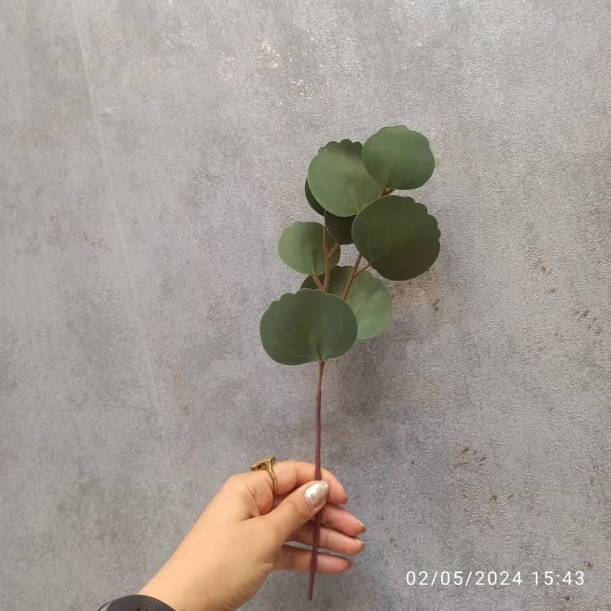 برگ چرمی سبز ۱۶۱۰۷_۱۶۱۰۸ — تصویر ۳
