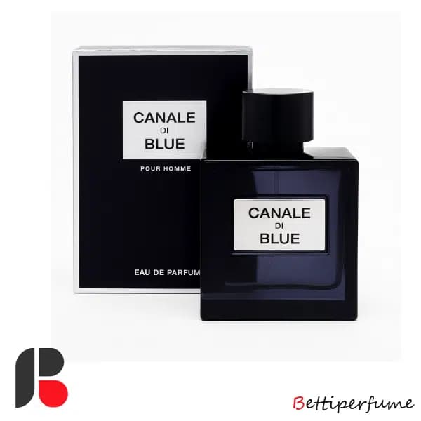 عطر ادکلن مردانه بلو شانل فراگرنس ورد 100 میل