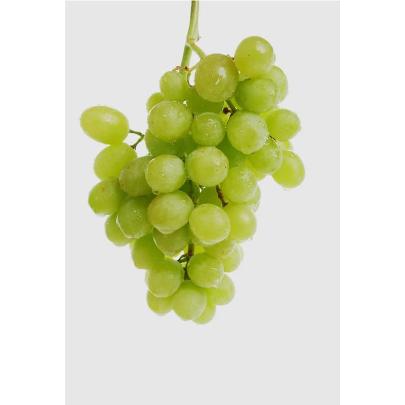 تابلو شاسی طرح میوه انگور مدل T6987