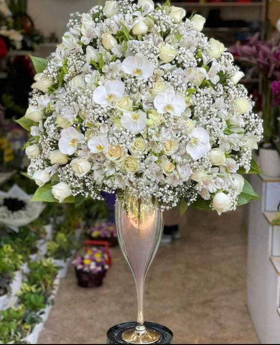 جام گل کد 347