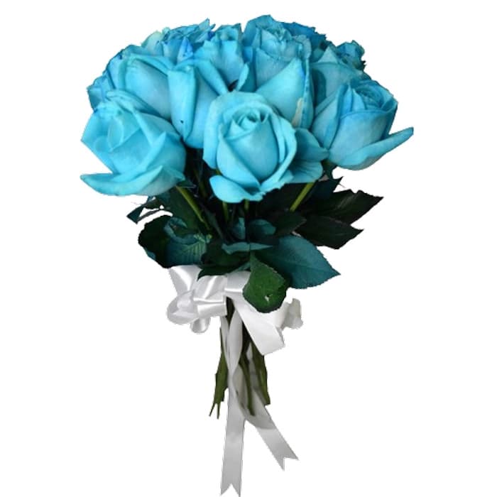 گل رز هلندی آبی