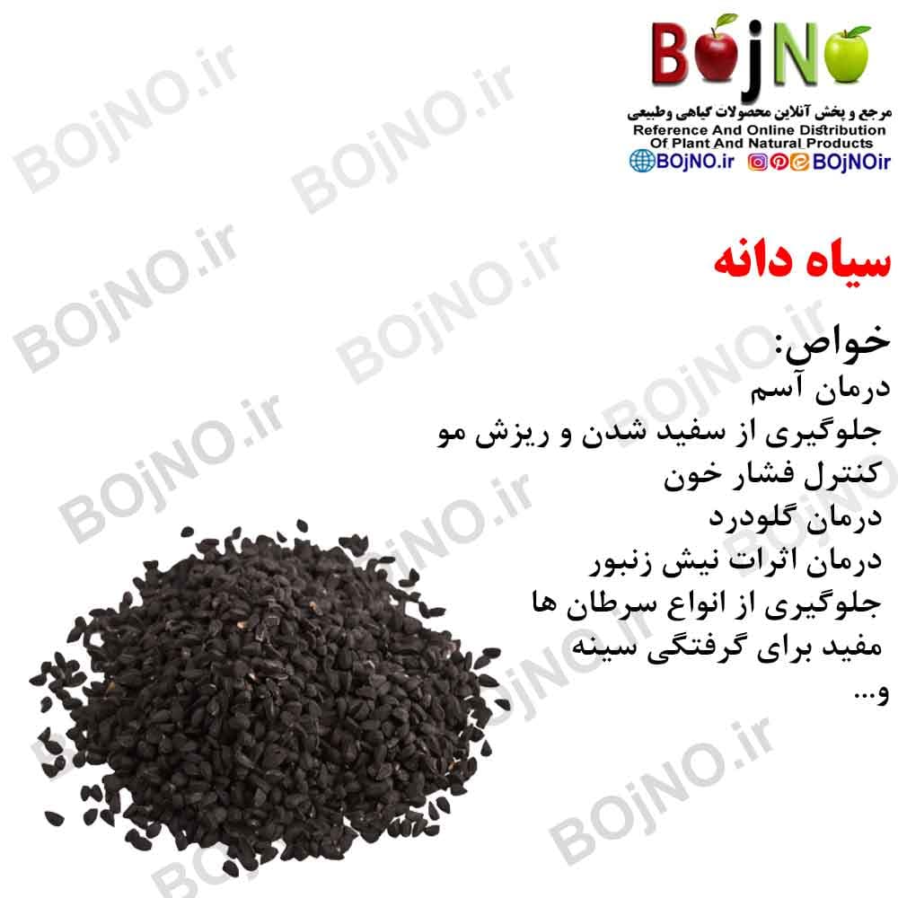 سیاه دانه 100گرمی
