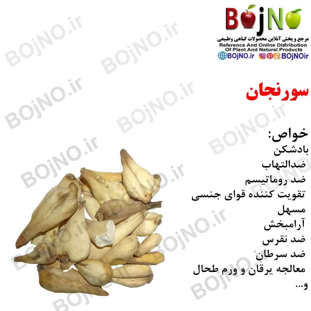 سورنجان 100گرمی