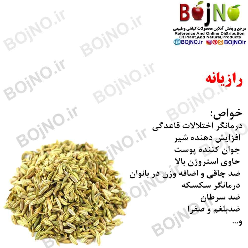 رازیانه 200گرمی