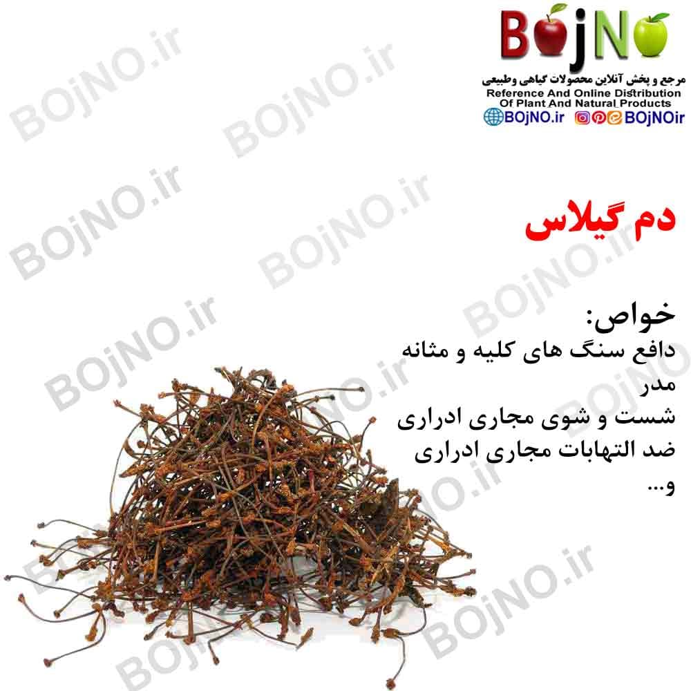 دم گیلاس 200گرمی