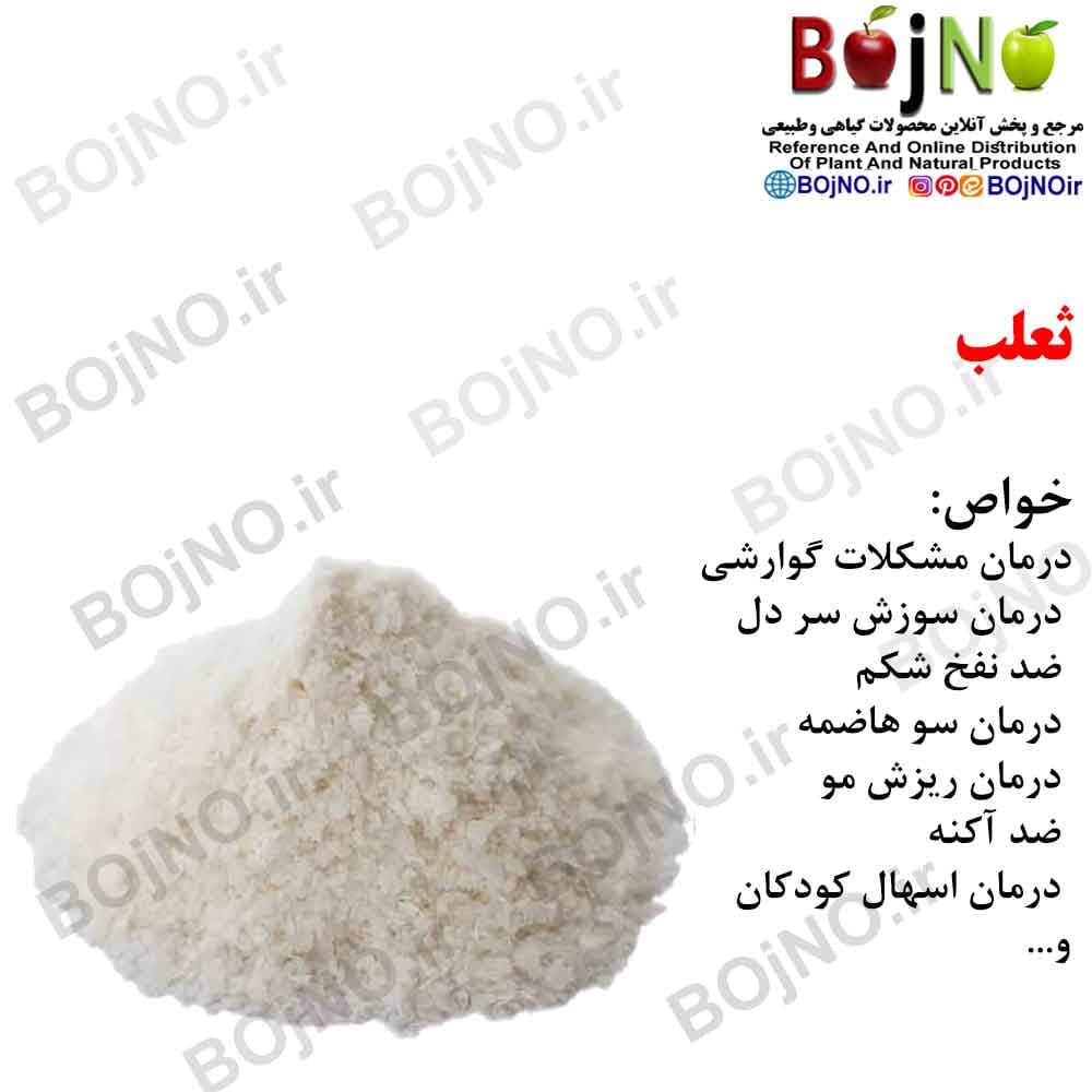 ثعلب 100گرمی