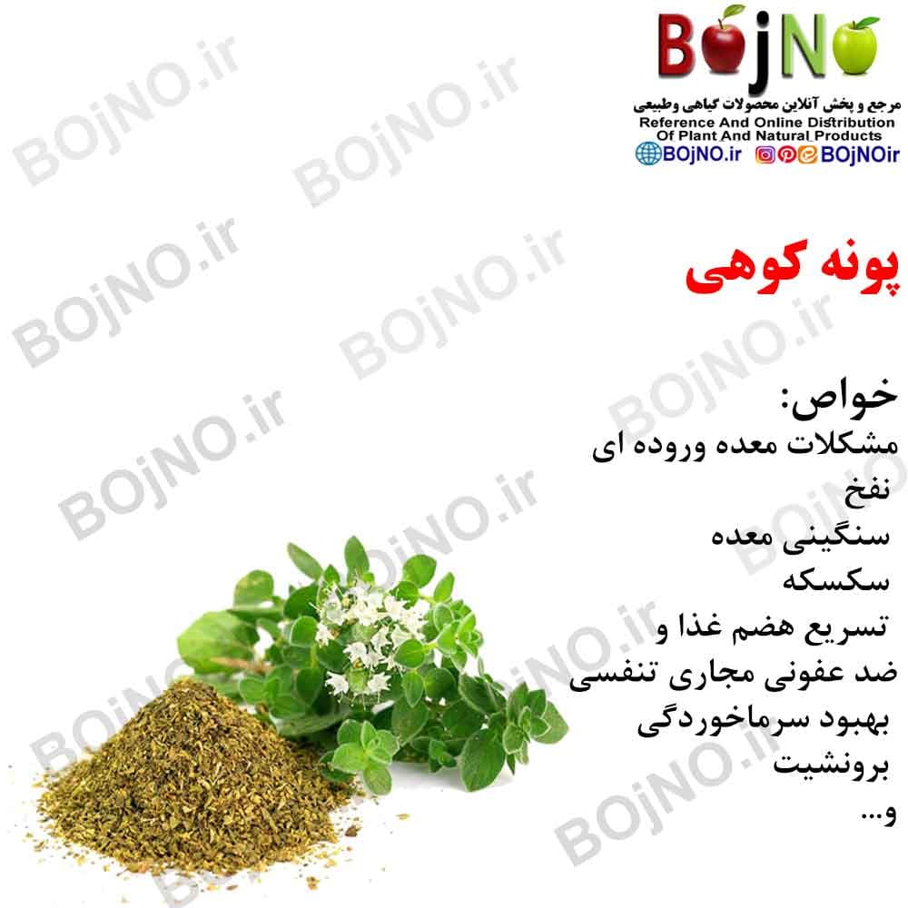 پونه کوهی 200گرمی
