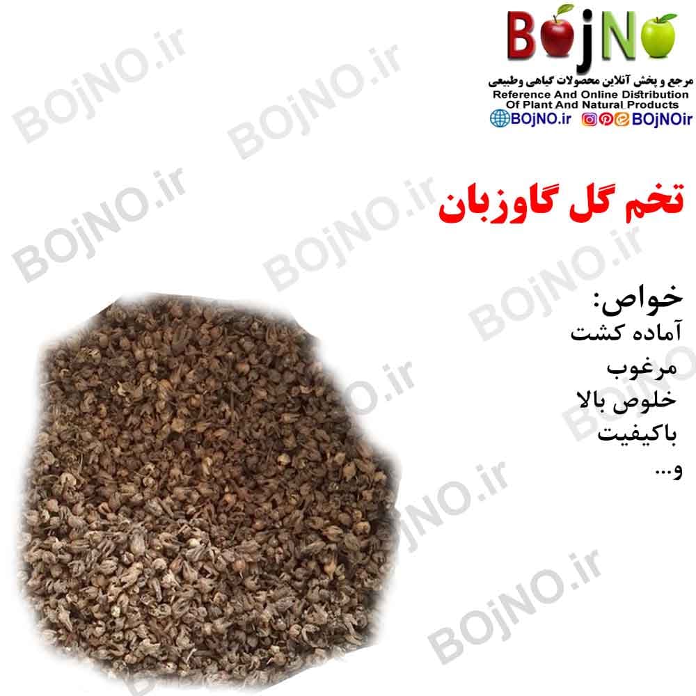 تخم گل گاو زبان 100گرمی