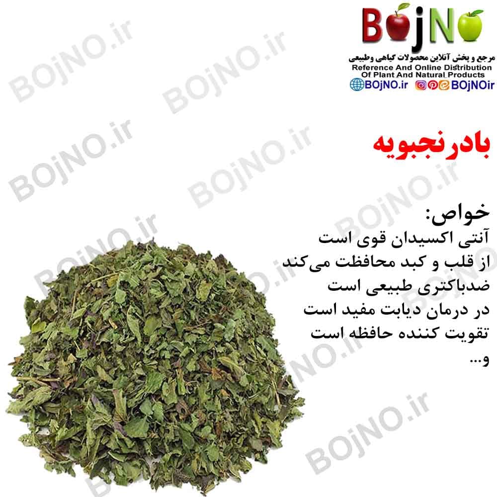 بادرنجبویه 200گرمی