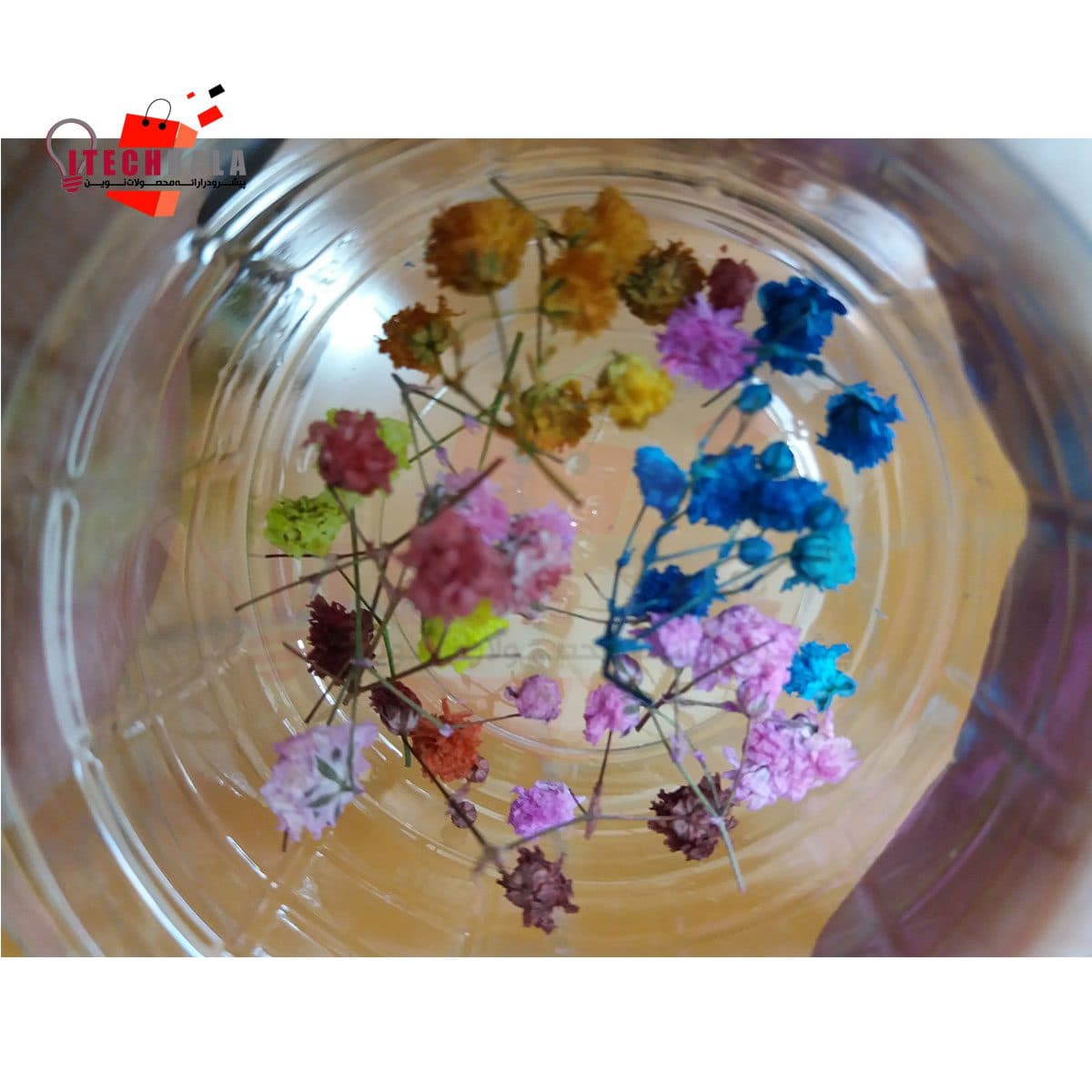گل خشک توپی 4 رنگ (20 عددی) — تصویر ۲