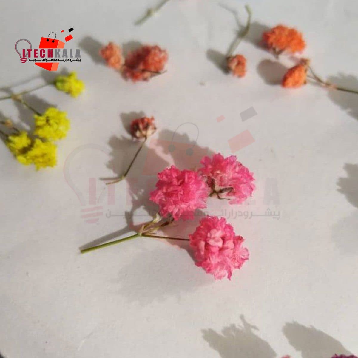 گل خشک توپی 4 رنگ (20 عددی)