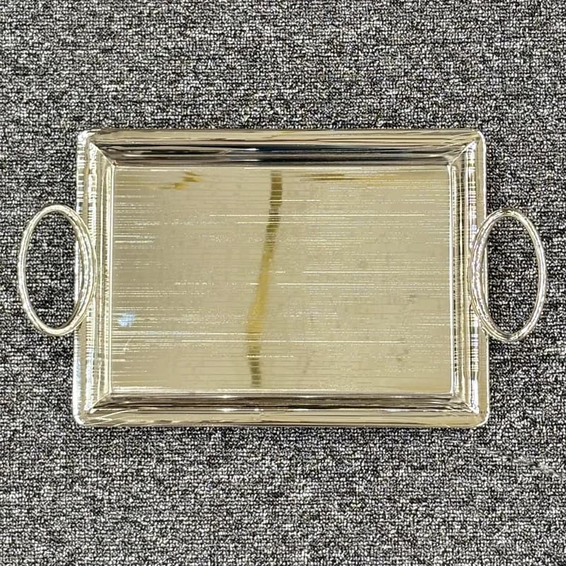 سینی تک مستطیل سیلور 4801