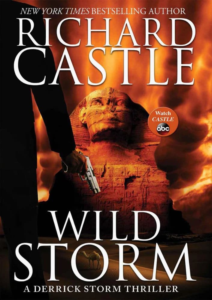 کتاب Wild Storm | طوفان وحشی اثر ریچارد کسل نسخه PDF انگلیسی