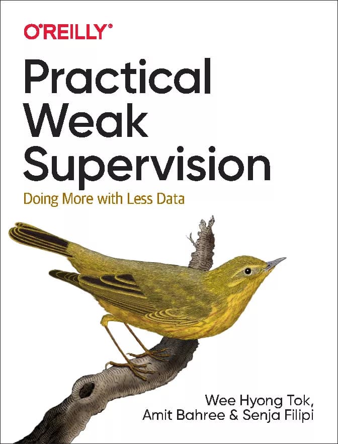 کتاب Practical Weak Supervision