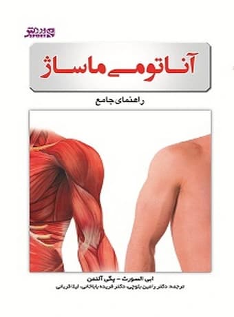 آناتومی ماساژ — تصویر ۲