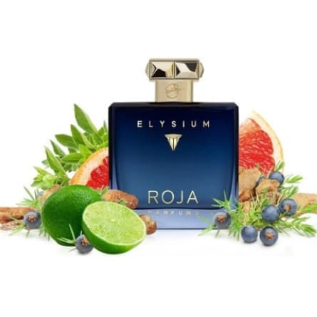 عطر ادکلن روژا داو الیزیوم پور هوم پرفیوم کلون مردانه خنک – Roja Dove Elysium Pour Homme Parfum Cologne درجه ۱ سوئیس — تصویر ۲