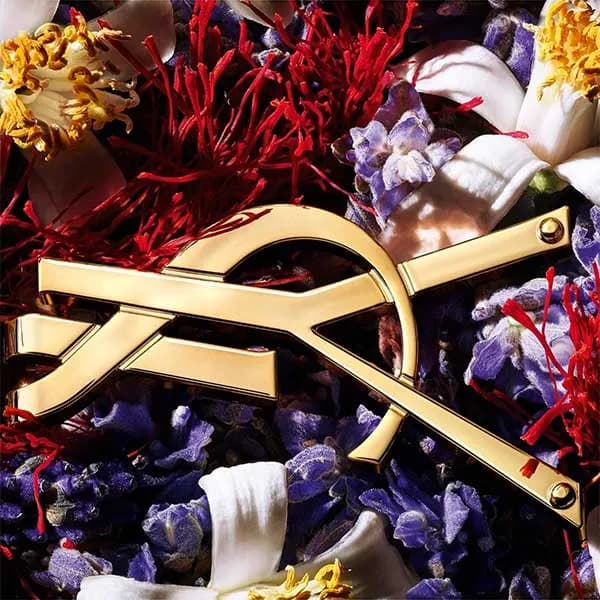 عطر ادکلن ایو سن لورن لیبره له پرفیوم زنانه گرم و شیرین- YSL Libre Le Parfum درجه ۱ سوئیس — تصویر ۳