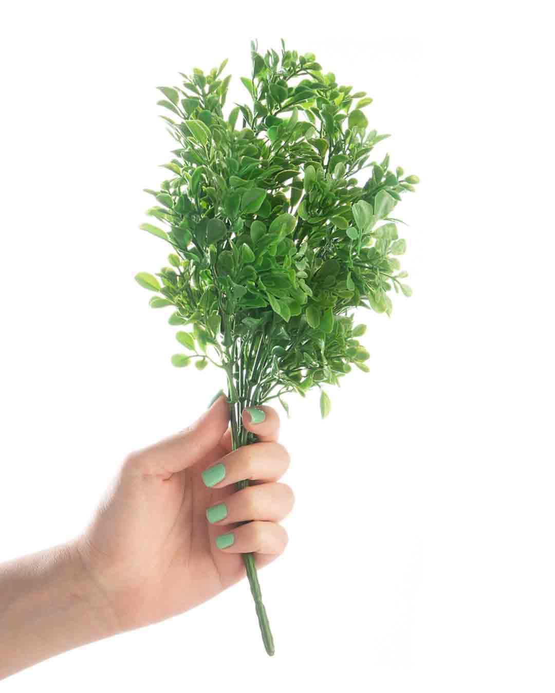 بوته بن سای
