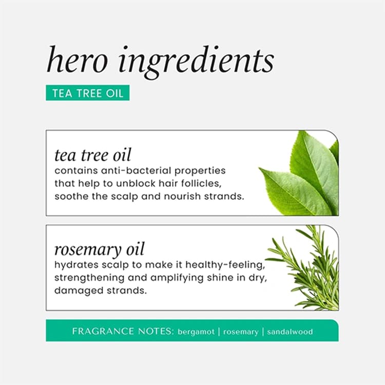 شامپو Hask مدل Tea Tree Oil حجم 355 میلی لیتر — تصویر ۸
