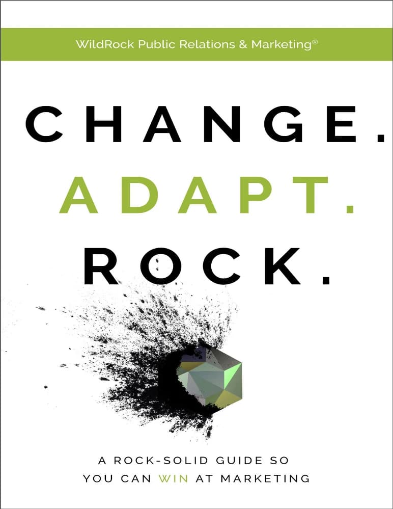 کتاب Change. Adapt. Rock. (تغییر کن، سازگار شو، بدرخش) نسخه انگلیسی PDF