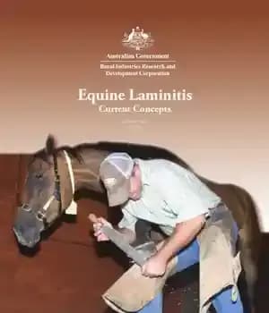 دانلود کتاب Equine laminitis : current concepts – لامینیت اسب: مفاهیم فعلی