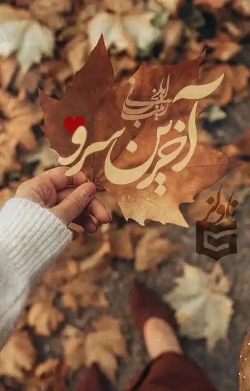 رمان آخرین سرو اثر زینب ایلخانی