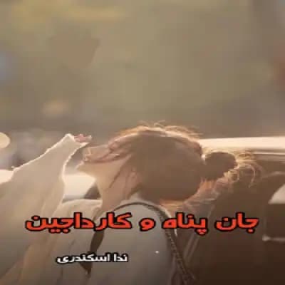 رمان جان پناه و کارداجین جلد اول و دوم ندا اسکندری