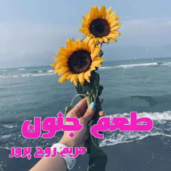 رمان طعم جنون اثر مریم روح پرور