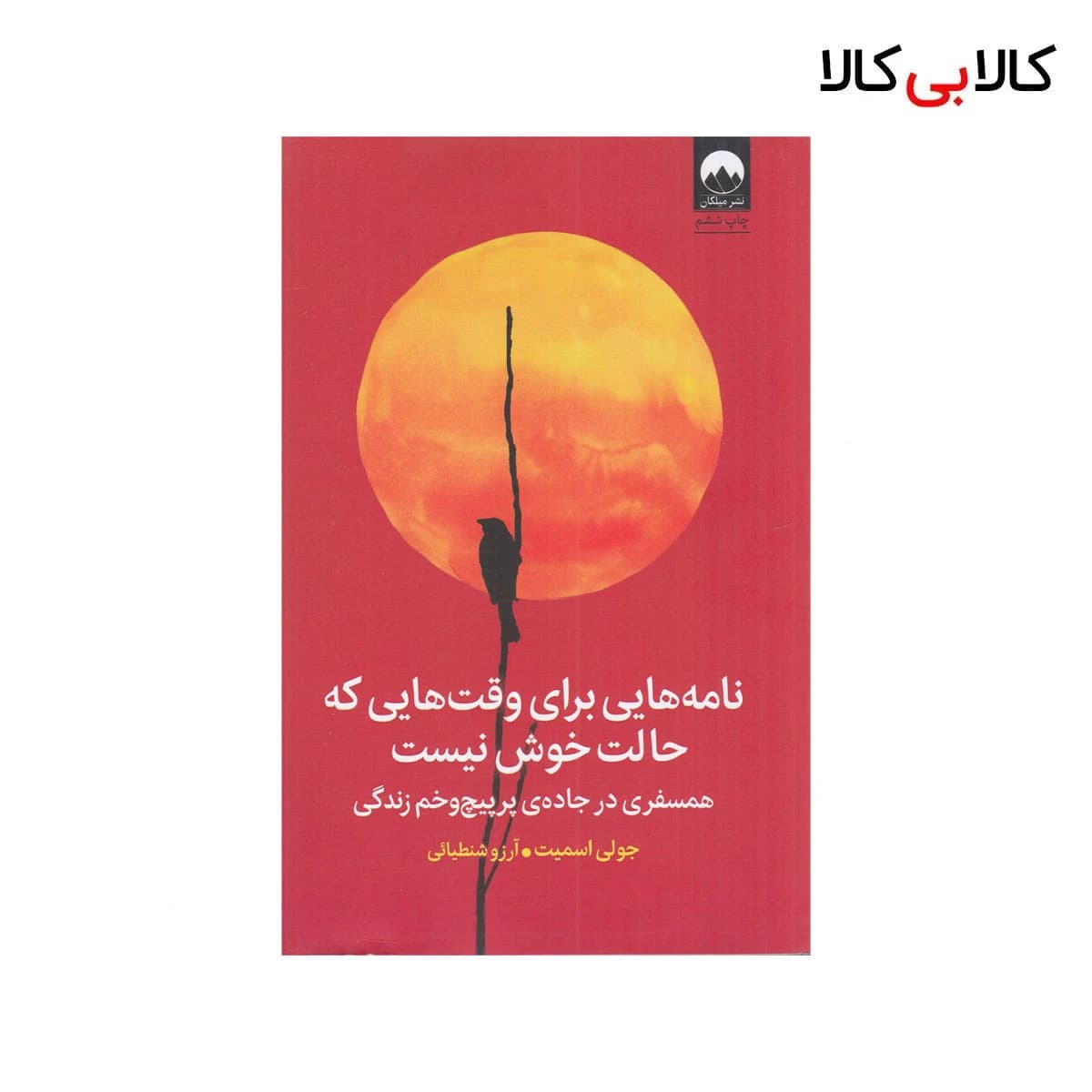 کتاب نامه‌ هایی برای وقت‌هایی که حالت خوش نیست اثر جولی اسمیت نشر میلکان