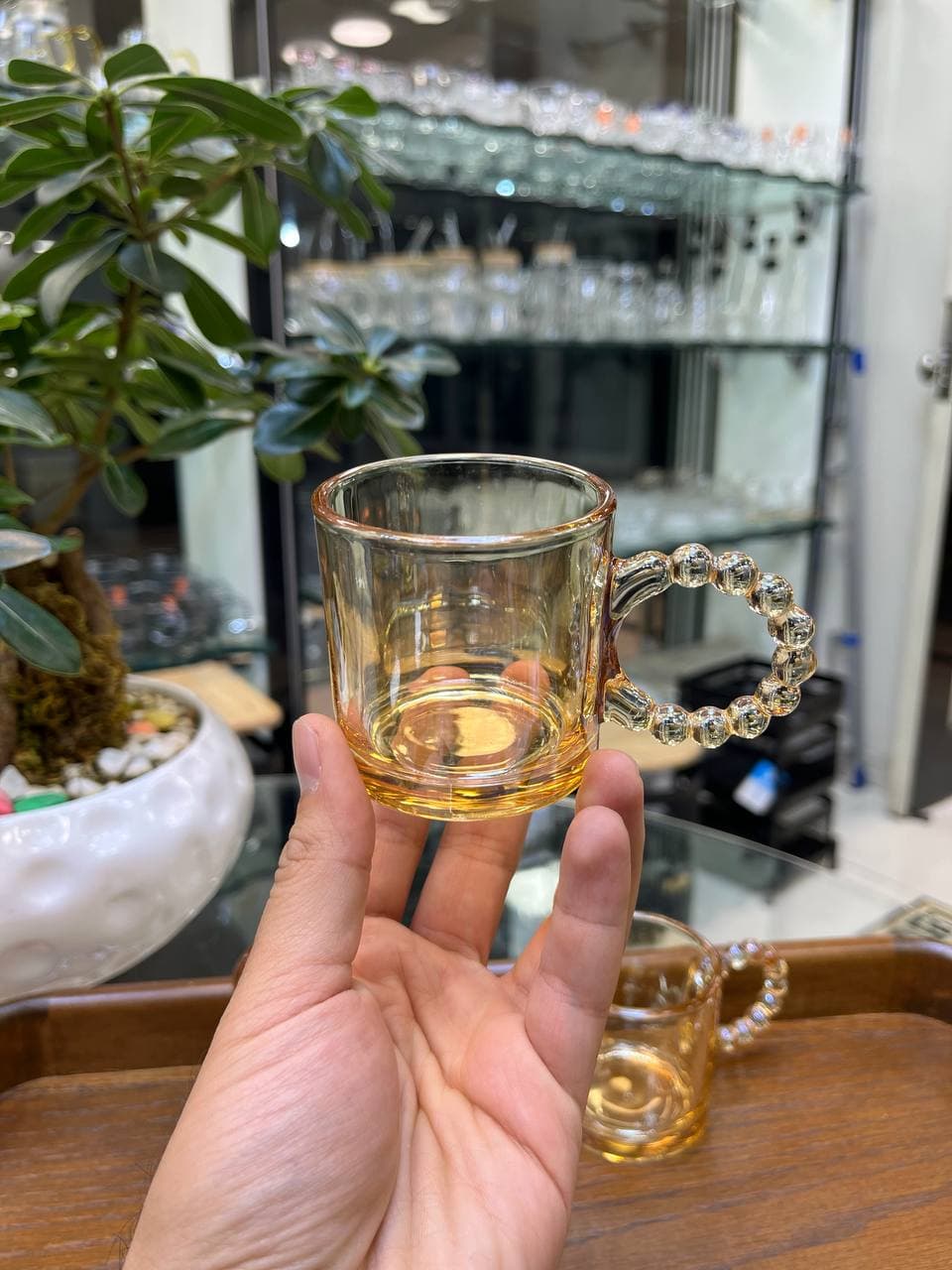 ست 6 عددی شات عسلی ساده دسته مراریدی — تصویر ۳