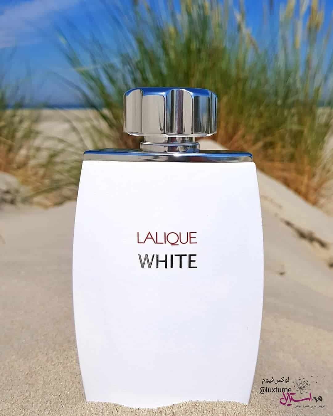ادو تویلت مردانه LALIQUE White حجم 125 میلی لیتر — تصویر ۳
