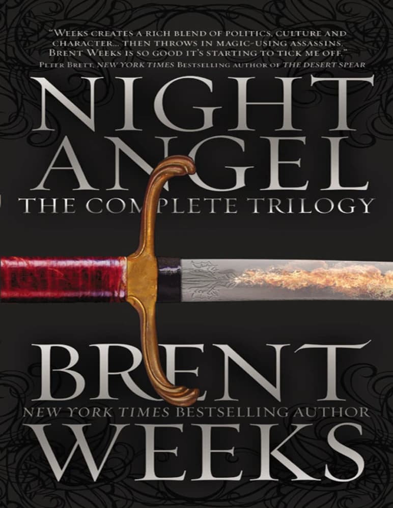 کتاب سه گانه فرشته شب (Night Angel Trilogy) نسخه انگلیسی PDF | برنت ویکس