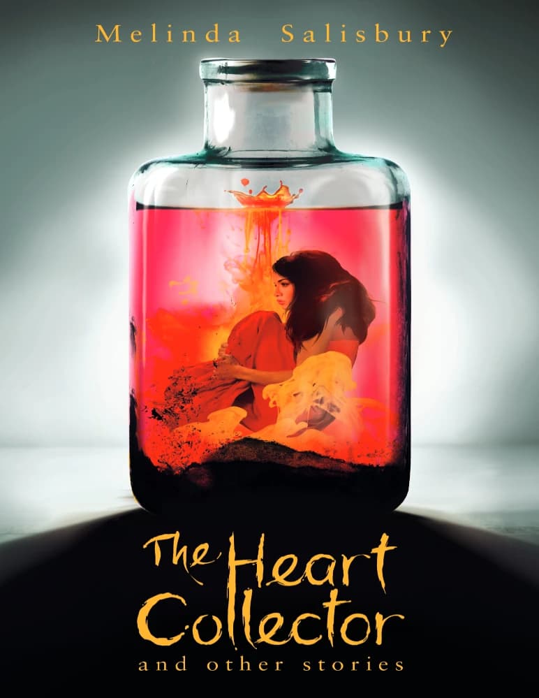 کتاب جمع کننده قلب (The Heart Collector) نسخه انگلیسی PDF | ملیندا سالزبری