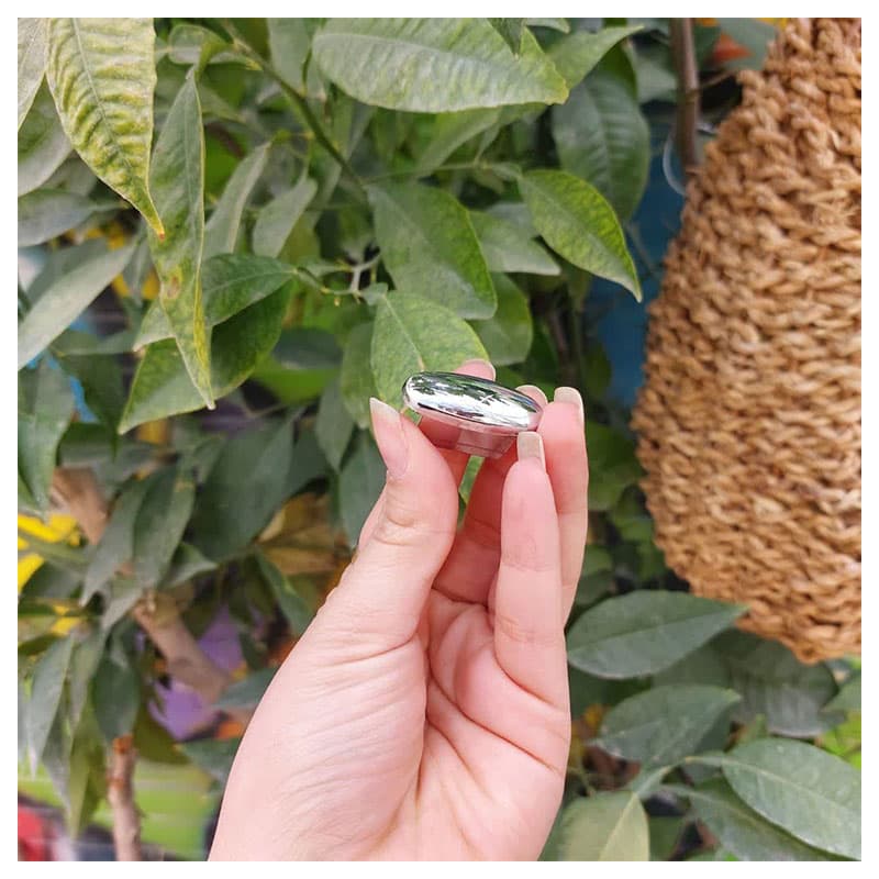 نگین سپر ساینا مجموعه 60 عددی کد 2333 — تصویر ۳