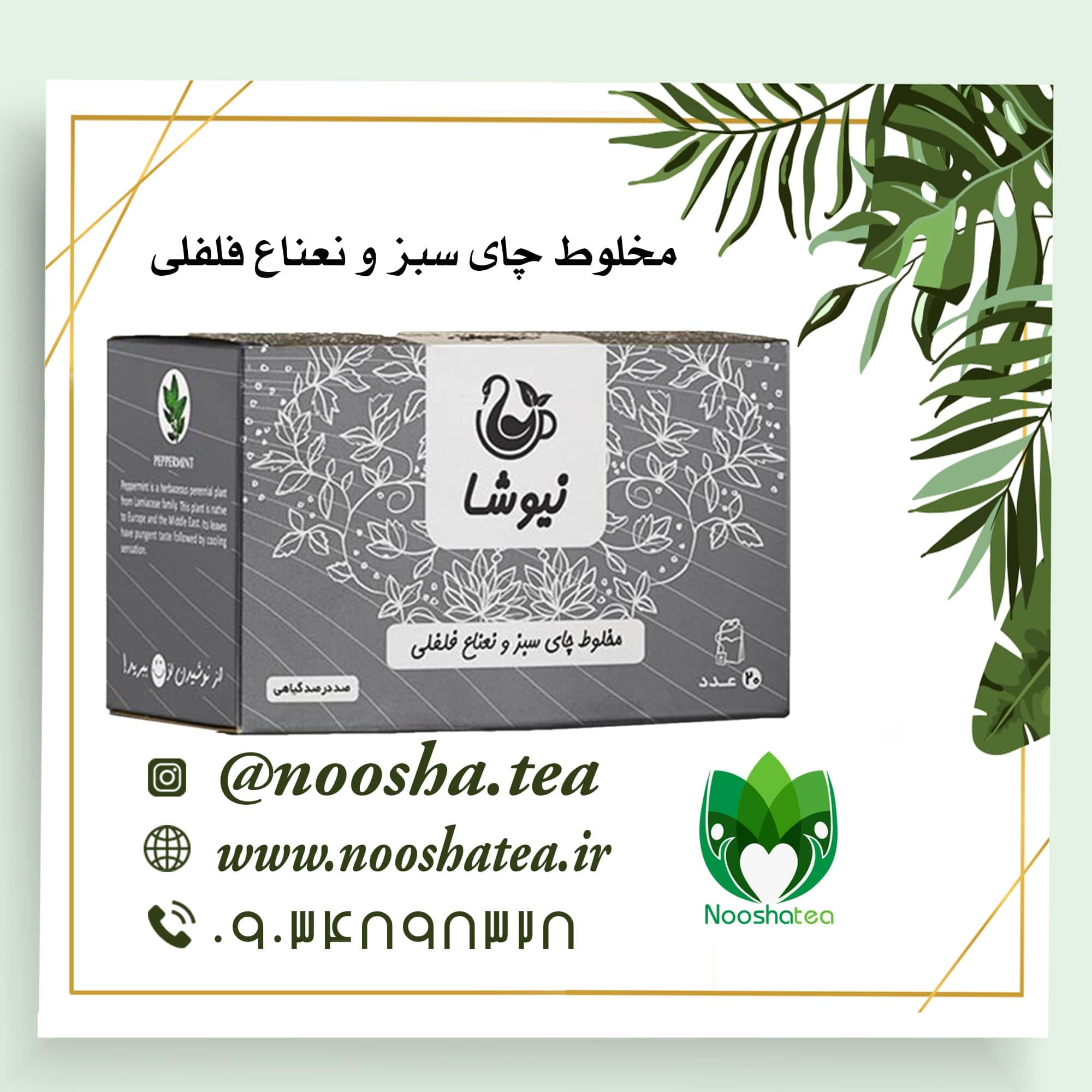 دمنوش چای سبز و نعناع فلفلی کیسه ای نیوشا