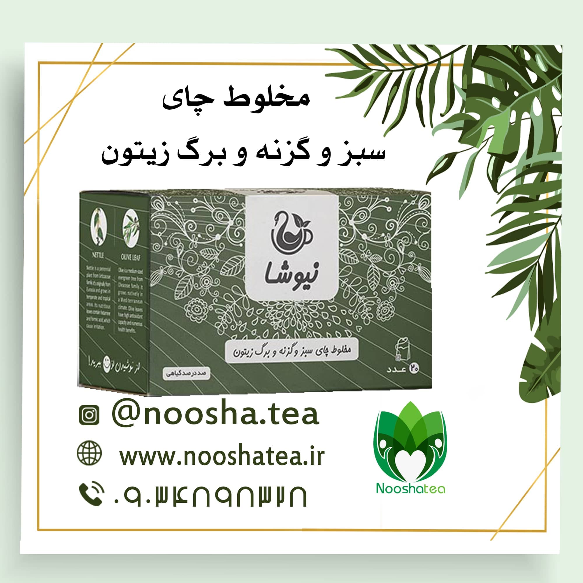 دمنوش چای سبز و گزنه و برگ زیتون نیوشا |کیسه ای