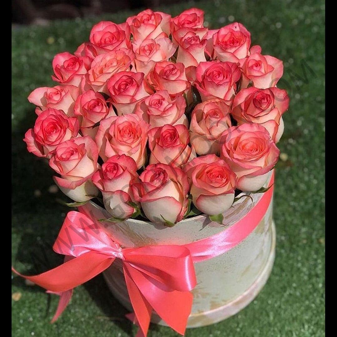 باکس گل ملودی — تصویر ۳